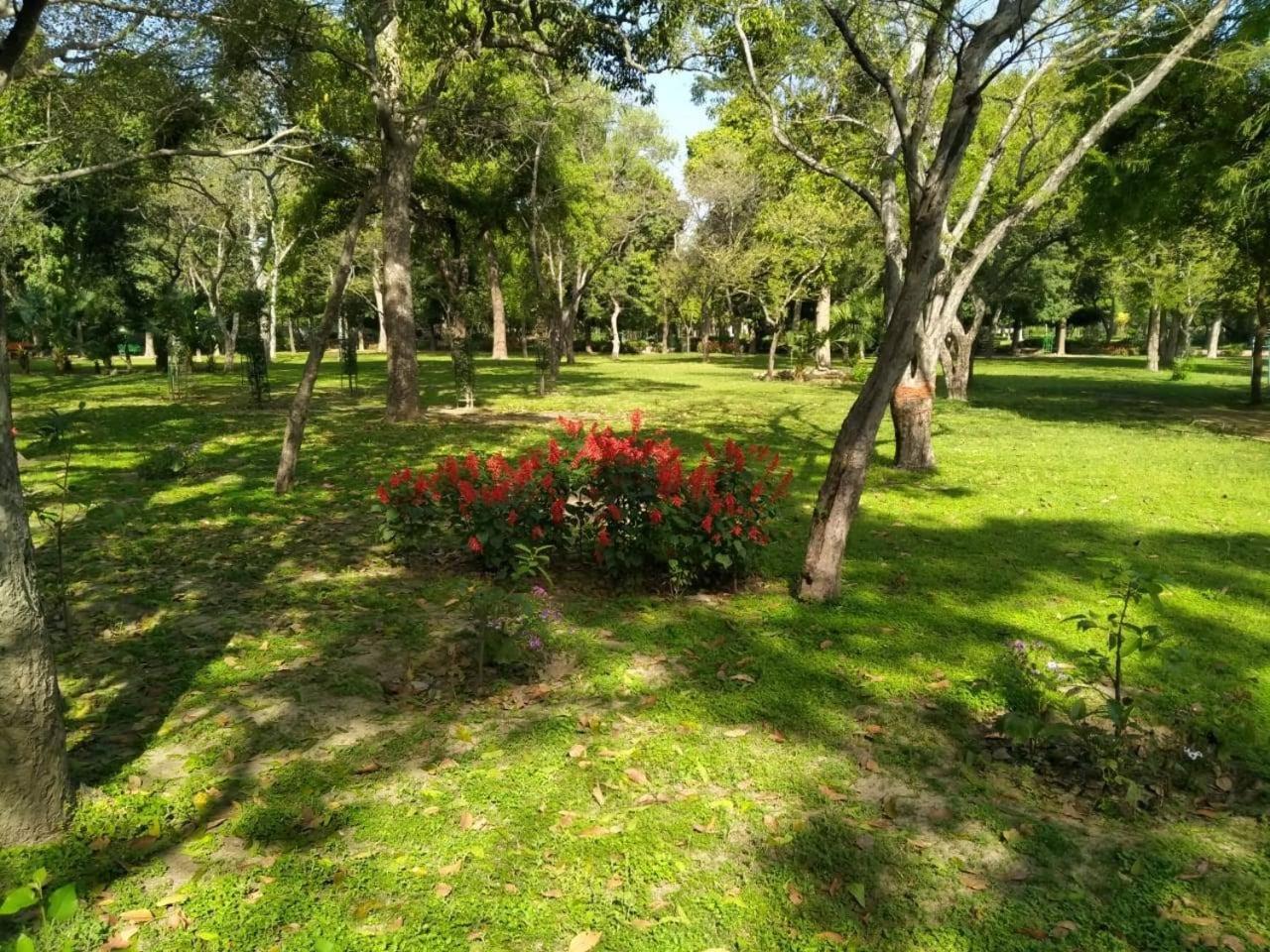 Hotel Traditional Inn Yeni Delhi Dış mekan fotoğraf